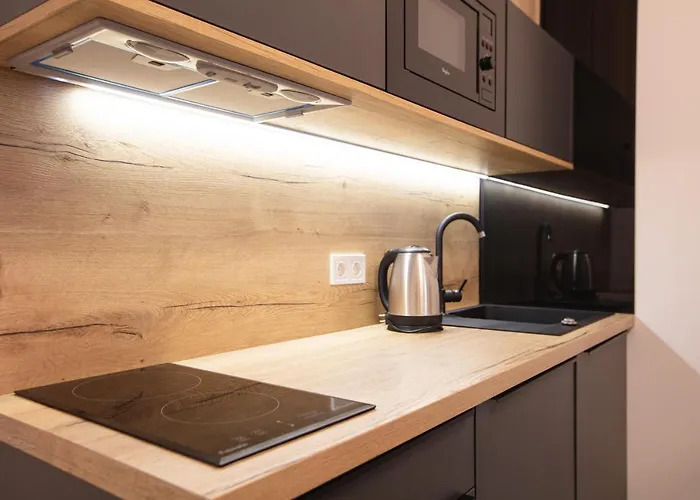 Friends House- сучасні в центрі львова * לבוב